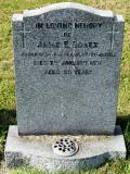 image of grave number 100947